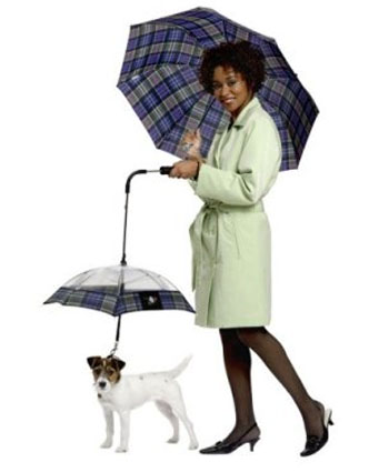 Dog brolly.jpeg