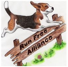 RunFreeBeagle.PNG