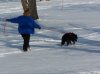 Casey tracking in snow.jpg