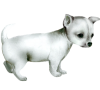 chihuahua-dogzer-39711263-330-300.png