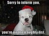 thumb-cheeseburger-cat-fail-christmas-dog-funny-pictures-best-28-6771.jpg