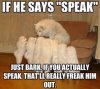 Dogs Can Talk!.jpg