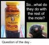 BREEDIA PICTURE FUNNY MOLE.jpg