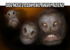 DOG NOSES LOOK LIKE ANGRY ALIENS.png