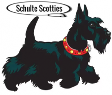 Schulte's