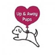 Up & Away Pups